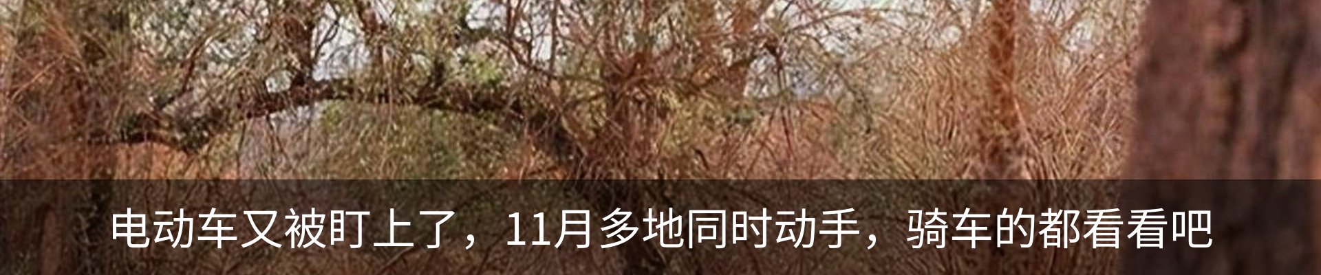 行业资讯